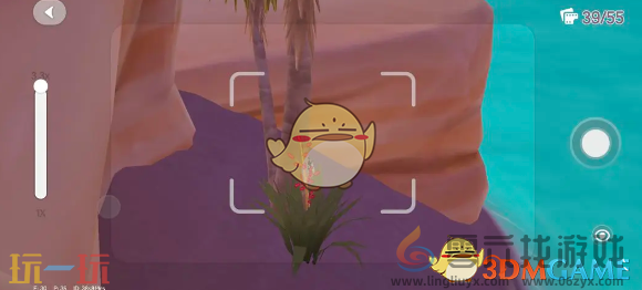 心动小镇银光宝石丽金龟捕捉位置和时间攻略(图5)