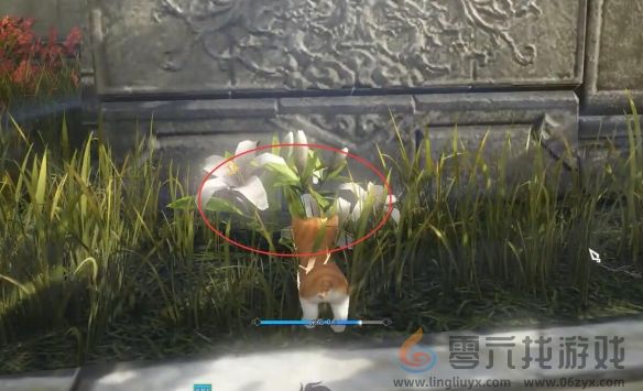 逆水寒手游酩酊梦狸奇遇攻略(图7) 逆水寒手游酩酊梦狸奇遇攻略(图7)