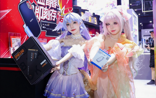 次世代存储体验降临BW2025！闪迪携全场景方案引爆ACG数字生态(图2)